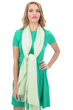 Cashmere & Seta accessori platine verde pallido 201 cm x 71 cm